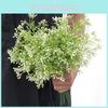 Snowberry Plastic Faux Plant For Green Project Decoration And Photography Scenes