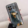 Doberman Dog Case For Honor Magic 7 Lite 5 6 8 Pro Cover For Honor X9b X9a X9c X8a X8b 200 400 50 70 90