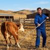 Long Pole Pig Catcher Pole Heavy Duty Livestock Catching Pole Sheep Catching Hook  Farm