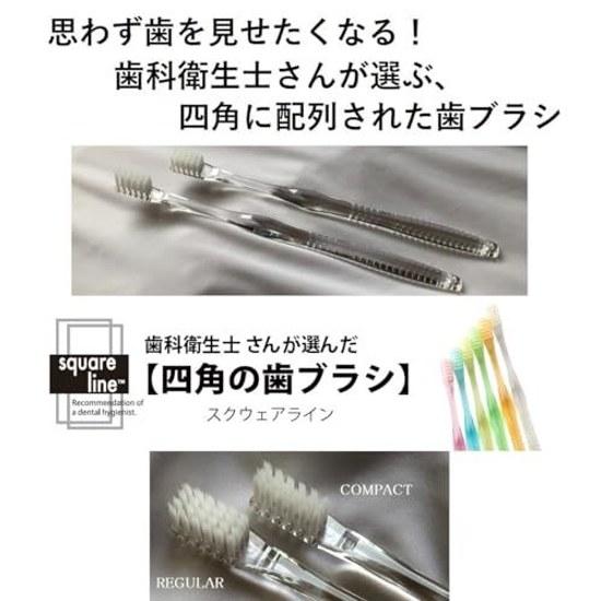 Toothbrush selected dental hygienists square shape Line cap made Japan set 6 4 rows 24 holes (REGULAR)