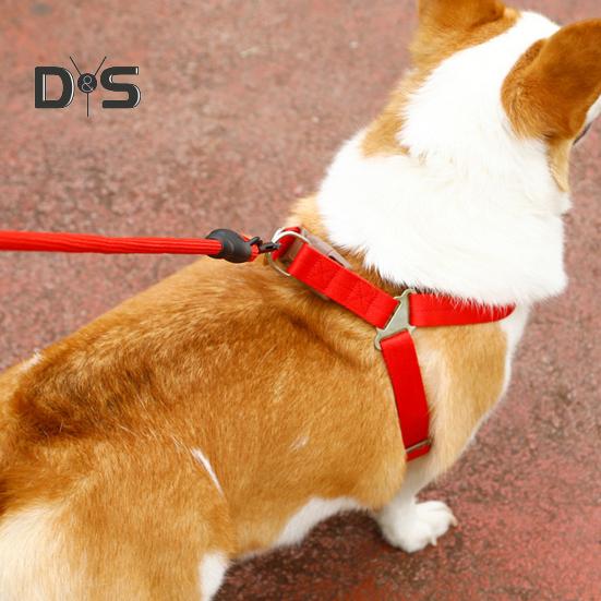 Шлейка для собак с поводком, жилет для дрессировки собак, поводок с мягкой ручкой, принадлежности для домашних животных для маленьких и средних собак и кошек