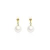 Artificial Pearl Temperament Gifts Korean Dangle Earrings Women Stud Earrings Drop Earrings Metal
