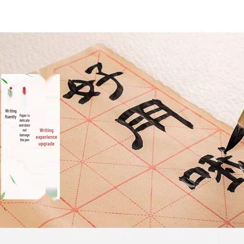 Chinese Calligraphy Brush Pen Set: Thickened Deckle Edge Xuan Paper with Rice, Field, Square Grids for Beginner Practice.