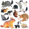Children's Cognitive Rodent Simulation Toy: Chipmunk, Marmot, Squirrel, Guinea Pig Models
