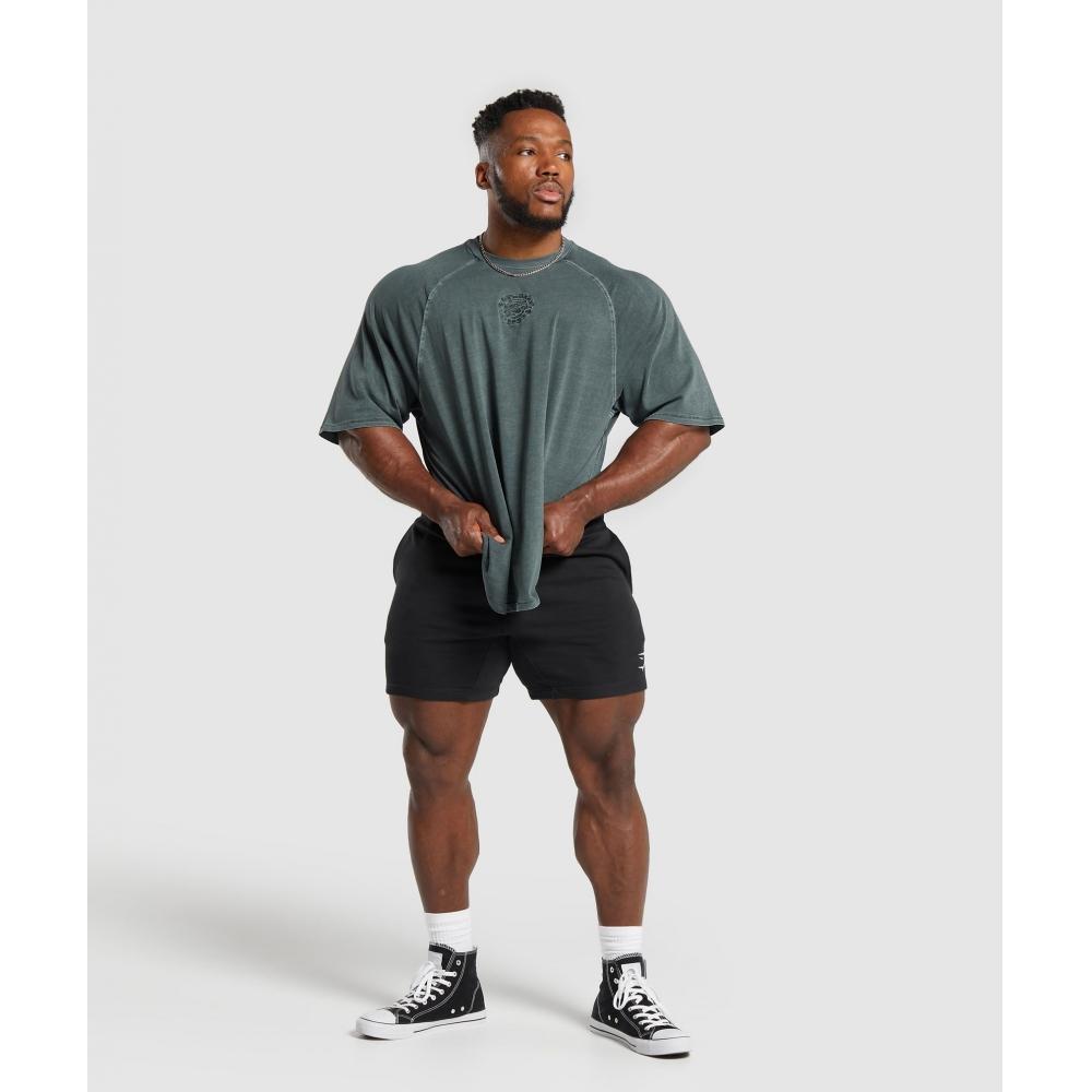 Gymshark Футболка Premium Legacy Темно-бирюзовая A6A7C TBQZ