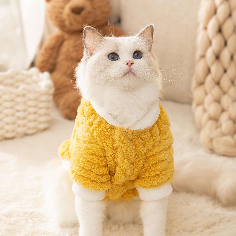 Three-dimensional Bear Cat Clothes, Warm In Autumn and Winter, Comfortable Cotton Lint Kittens and Puppies, and Pet Bipods In Winter