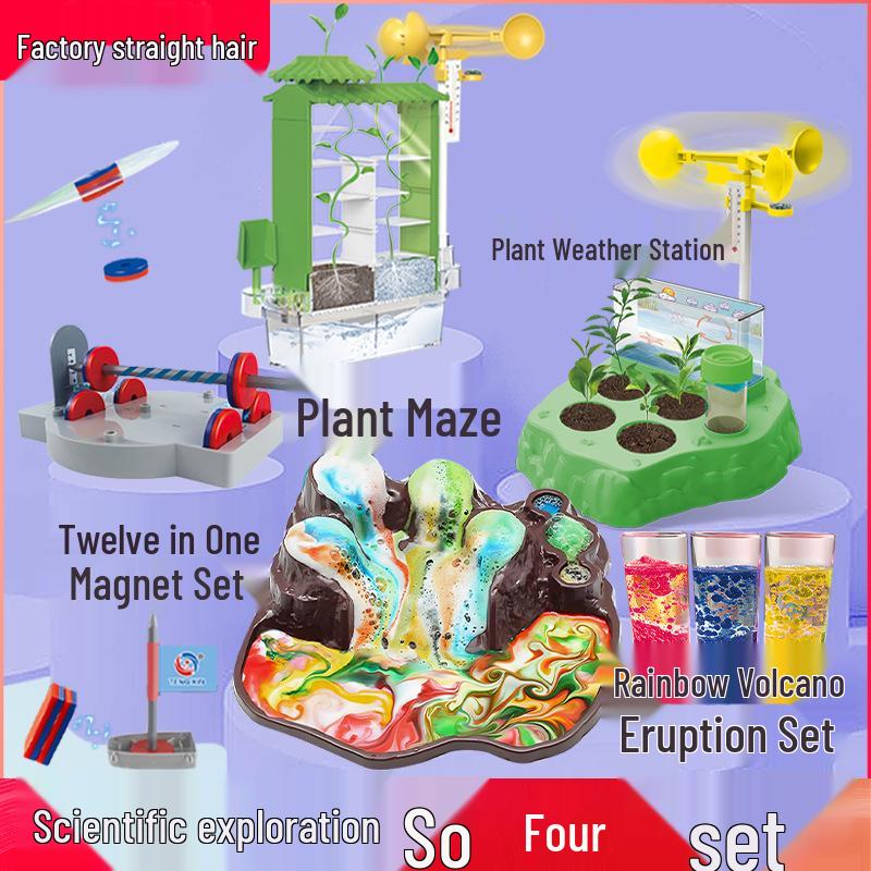 Kids' DIY Science Kit: Plant Growing Maze & Weather Monitoring Toy