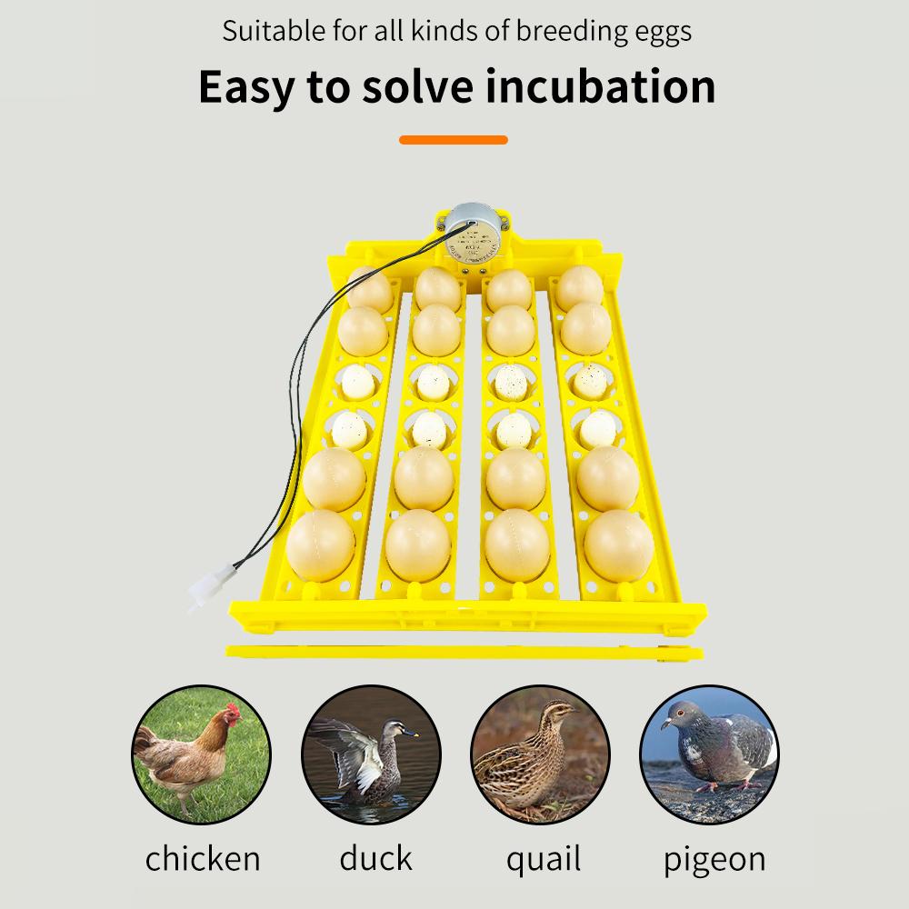 Automatic Egg Turner 24 Eggs Incubator Chicken Egg Incubator For Chicken Goose Quail Automatic Egg Hatching Equipment Hatching Tools 220V