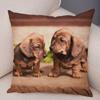 Mini Dachshund Cushion Cover Decor Pet Animal Pillowcase Sofa Home Children's Room Pillowcase