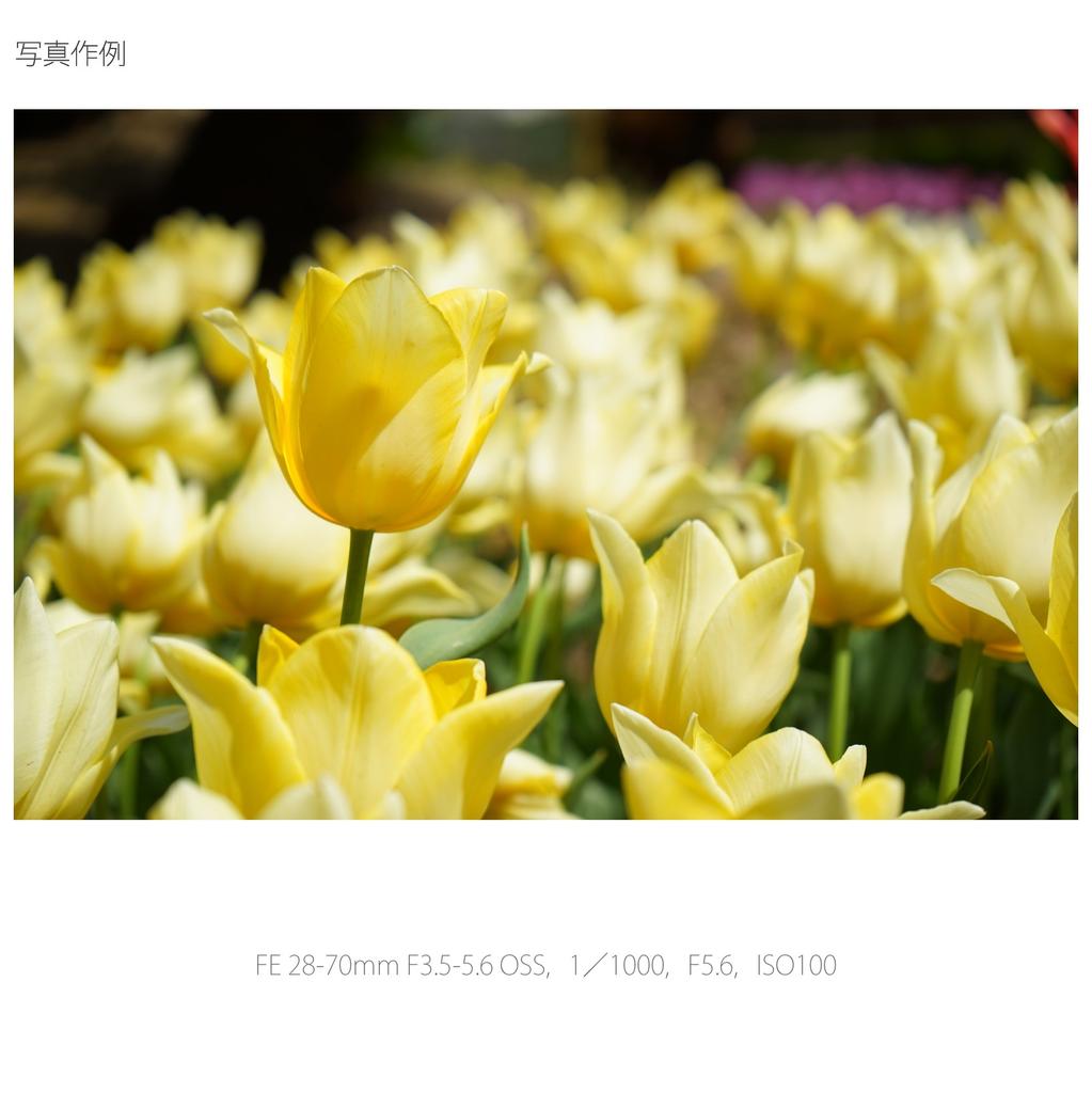 Стандартный зум-объектив SONY FE OSS, совместимый с полноразмерными камерами 28-70 мм F3.5-5.6