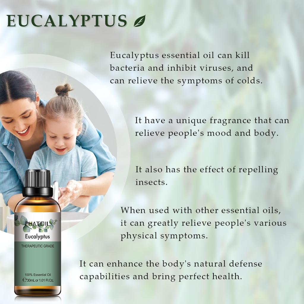 PHATOIL 3 шт. Набор эфирных масел Подарочная коробка Эвкалипт Чайное дерево Эфирное масло розмарина Ароматерапия для свежего воздуха Диффузор Стерилизация Облегчение тела