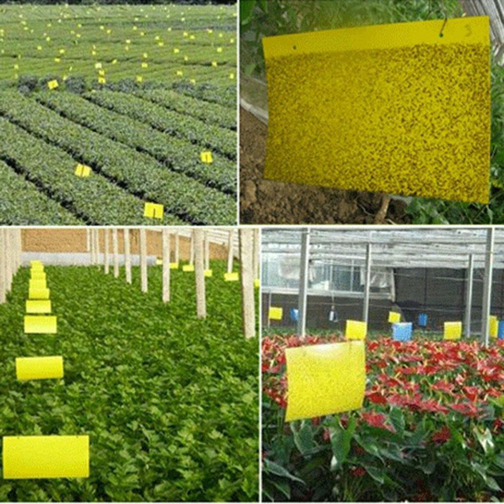 10/20/50/100 шт. Горячая оса лот желтый липкий клей бумага ловушка для насекомых убийца насекомых