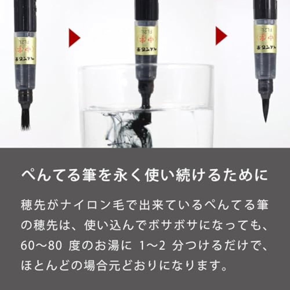 Кисть-перо Pentel Жидкие чернила для кисти-пера Pentel 10 флаконов XFP6L (10)