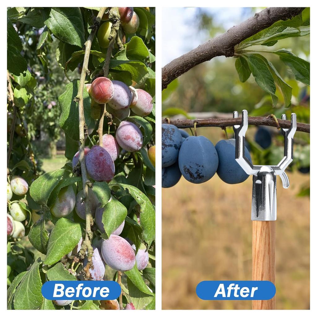 Pack of 20 Metal Y Shaped Plant Branch Support Brackets for Fruit Trees Delicate Plants Rustproof Garden Stake Holder