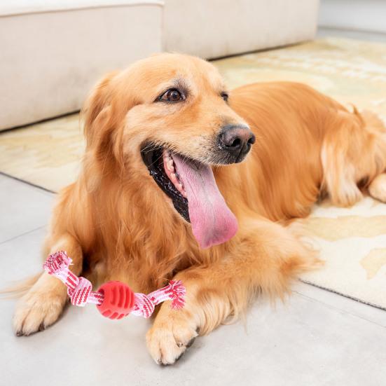 Игрушка для домашних животных Мяч с двойным узлом, устойчивый к укусам, хлопковая веревка, игрушка для жевания собак