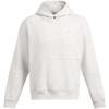 Under Armour Mens Curry DNA Hoodie