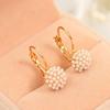 1 Pair Korean Style Elegant Women Earrings Girl's Fashion Ear Stud Crystal Stud Earrings