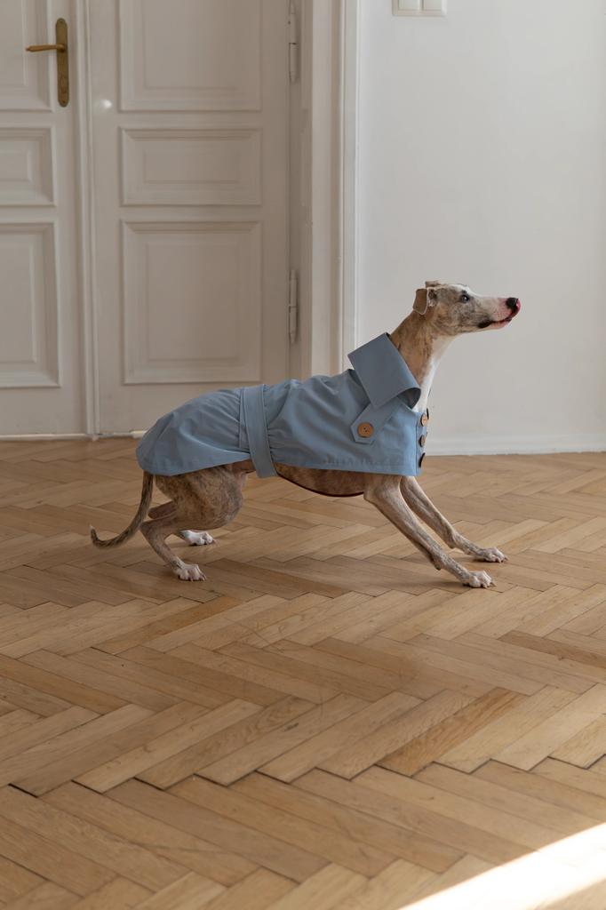 Water-repellent Dog Trench Coat - Light Blue 3