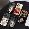 Забавный Милый Кот Чехол для Телефона Для iPhone 17 16 15 14 13 12 Max Plus Силиконовый Черный Чехол