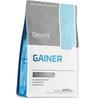 Carbohydrate-protein Mixture for Muscle Mass Growth, Gainer, 1000g Vanilla (30250004)