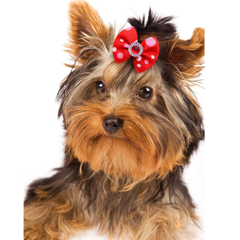 20/30pcs Dog Grooming Bows Mix Plaid Dot Cat Dog Hair Bows Dog Hair Rubber Bands Small Dog Grooming Accessories Pet Supplier