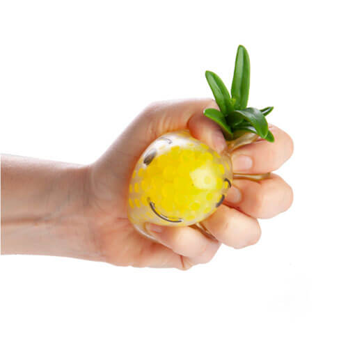 Мялка Пузырь Ананас