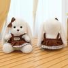 Rabbit Wear Dress Plush Toy Cartoon Stuffed Animal Doll Kids Birthday Gifts