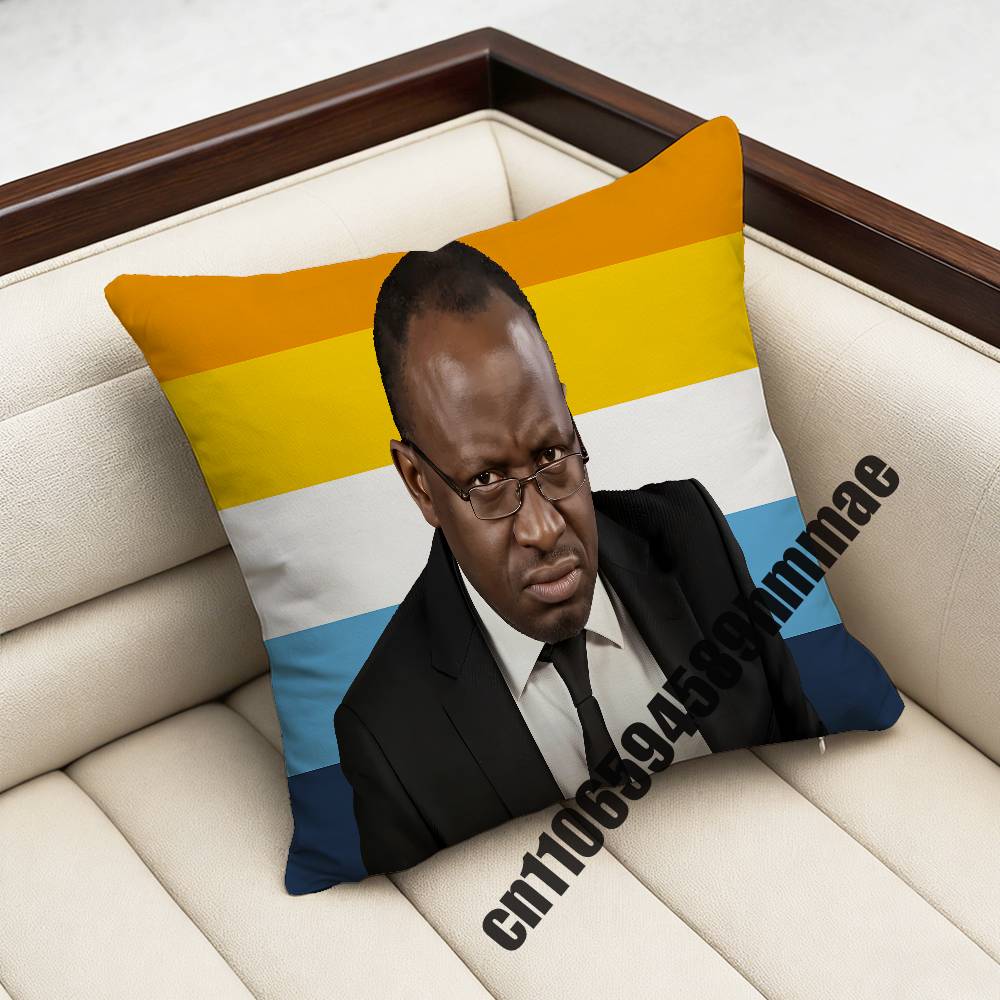 For xcm xcm Square Car Pillowcase Why Are You Gae Meme Uganda USA America Throw Pillow Case Sham Pad Cushion LGBT Cover