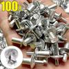 10/20/50/100Pcs Head Percussion Expansion Rivets Fasteners Hardware Expansion Nails