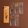Momo Dried Flower Bookmark Set: 6 Translucent PET Designs for Journals & Books