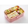 Skater 4-point Lock Lunch Box 1 Tier 650ml Antibacterial Treatment Made In Japan Curious George ZOO YZFL7AG