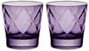 Vetri Euphoria 29 Purple Tumblers, Pair,