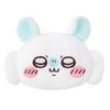 Chiikawa Praise Flying Squirrel Lottery C Prize: Face Cushion Normal Face