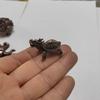 Латунный Орнамент Черепаха Дракон-Черепаха Счастливая Золотая Черепаха Настольное Украшение Латунный Чайный Питомец Рукоятка Живописные Поделки