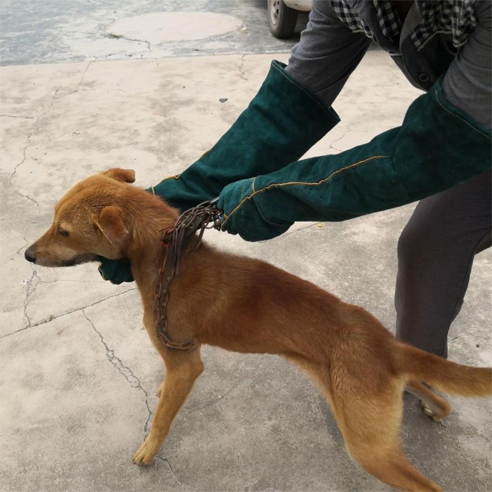 Пара Утолщенных Захватывающих Перчаток для Питомцев Защита от Укусов Прочные Безопасные Перчатки для Укусов Обращение с Собаками