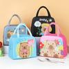 Cartoon Capybara Lunch Bag Insulated Food Container Portable Thermal Bento Box Bag Multifunctional Kids School Picnic Food Pouch