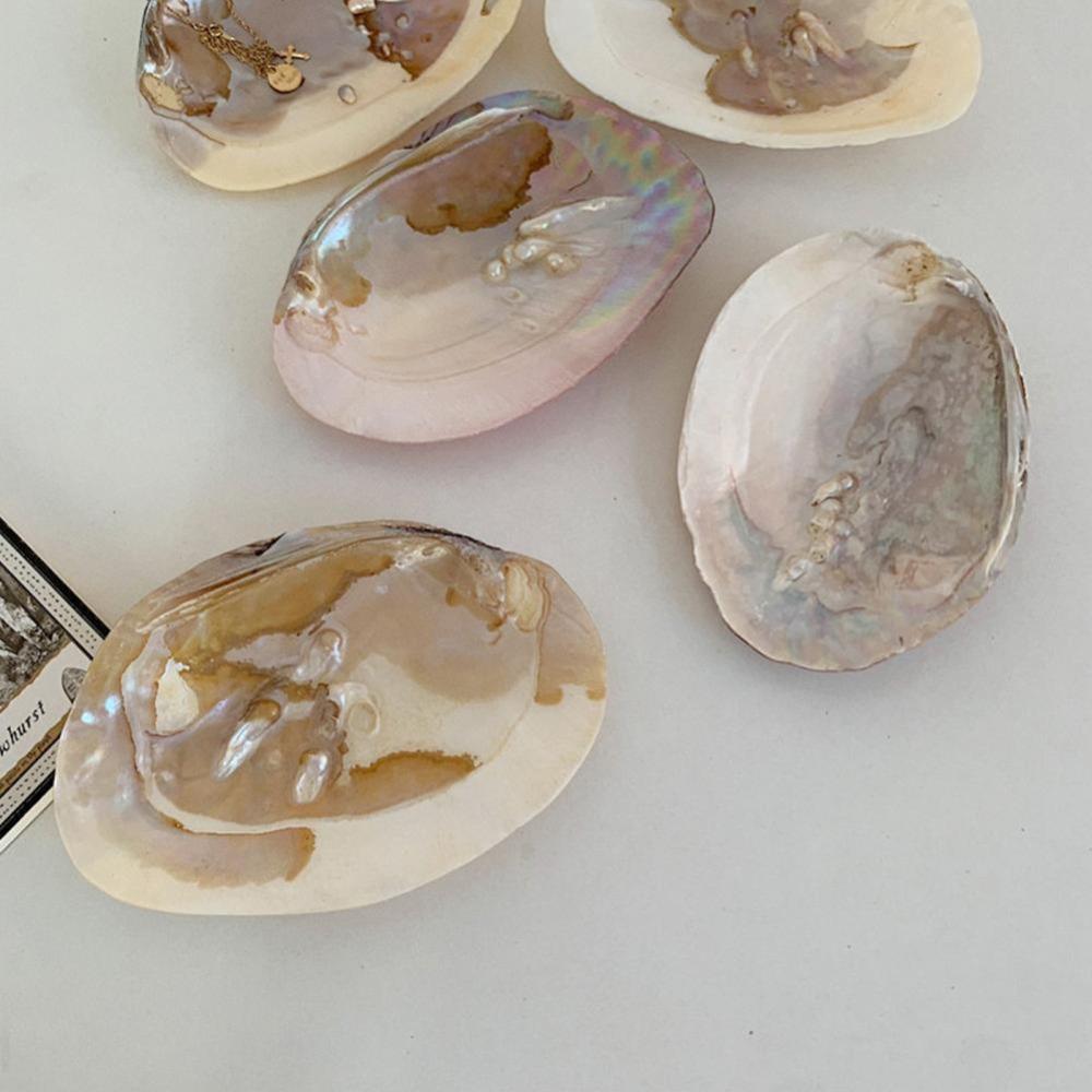 Ракушка Милый Многофункциональный Контейнер для хранения предметов искусства и рукоделия Держатель для хранения Поднос для хранения ювелирных изделий