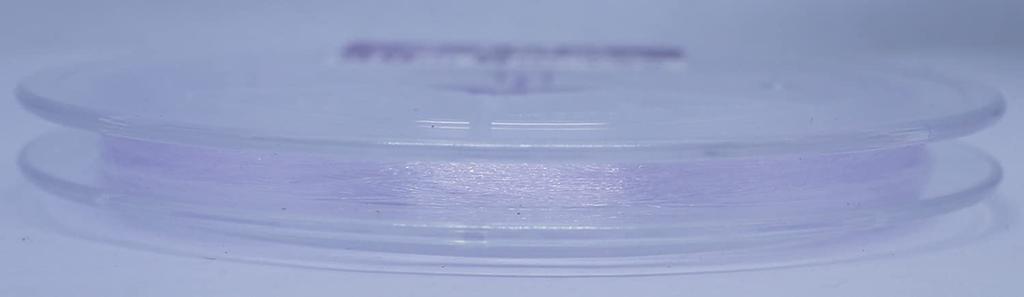 Yamatoyo Tegus Nylon Shock Leader, Fluorescent Purple, 30m1.5