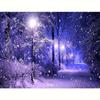 Full Round Diamond Painting Snow Craft Kit Diamond Embroidery Landscape Night Needlework Gift 30x40cm/12x16inch
