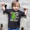 Kids T Shirt Customized Boys T Shirts Girl Clothing Personalised Birthday AGE  Crown Shirt Children Tees Baby Clothes