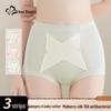 Urban Beauty Women's High-Waist Briefs 3-Pack with Silk Antibacterial Lining