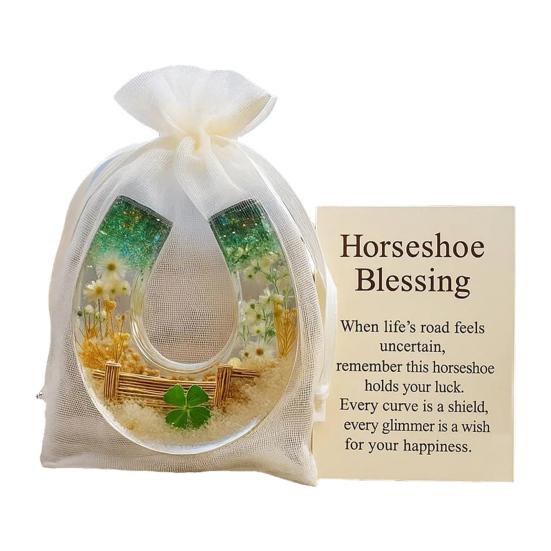 Horseshoe Blessing Pocket Hug with Positive Card Emotional Support Pocket Horseshoe Token Inspirational Lucky Horseshoe Decor Keepsake Gift