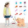 JoyGrow Pretend Play Set, Walk with Your Dog, Moving Plush Toy with Sound, Robot Dog, Pet Care Kit, Doctor Play Toy, Feeding, Educational Toy,