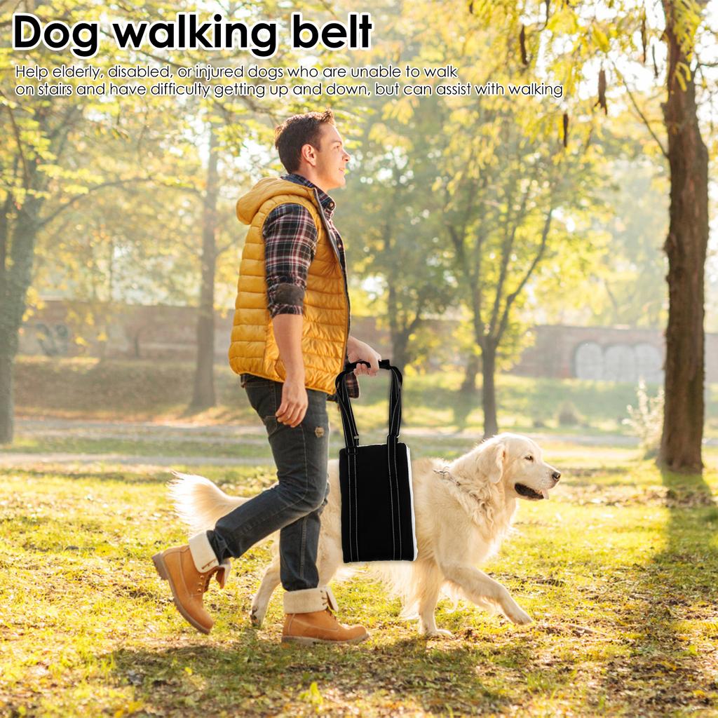 Adjustable Dog Sling for Back Legs Dog Lift Rehab Harness for Old,Injured Canine Aid & After ACL Surgery Ligament Rehabilitation
