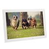 Digital Photo Frame 1080P Electronic Photo Frame Support Intelligent Remote Control 100‑240V 17in