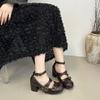 Cross-buckle Mary Jane women's high heels autumn 2025 new with skirt retro round head thick heel low-top shoes