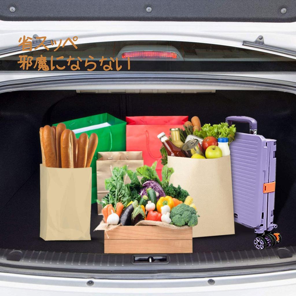 Carry Carry Adjustable Shopping Cart with 360 Degree Rotating Wheels Carrying Cart with Sports Carrying Compact For Travel Load Capacity 40KG Cart,