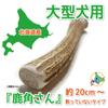 Shikakusan Deer Antler Dog Toy for Large 1 Hokkaido Ezo Dental 1 Large Piece Dogs, Unbroken, Piece, Deer, Natural, Additive-Free, Ozone-Treated, Care,