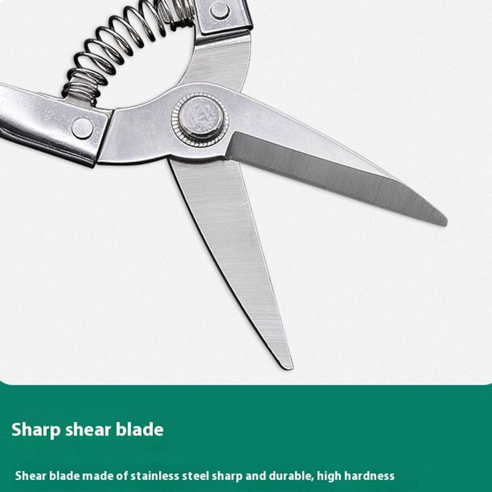with Automatic Return Spring Branch Shears Stainless Steel Garden Branch Shear Hand Tools