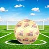 1pc Pig Sweater Theme Size 5 Soccer Ball Football, Lightweight PVC, Outdoor Training Soccer Ball,Gift J6141